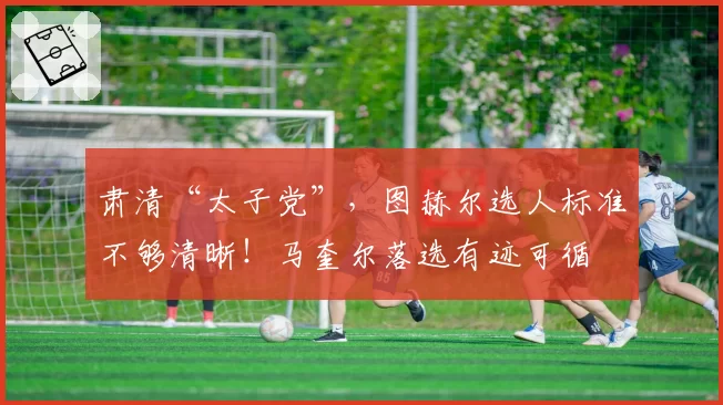 肃清“太子党”，图赫尔选人标准不够清晰！马奎尔落选有迹可循